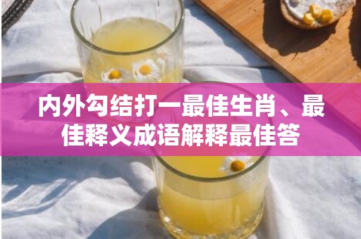 内外勾结打一最佳生肖、最佳释义成语解释最佳答