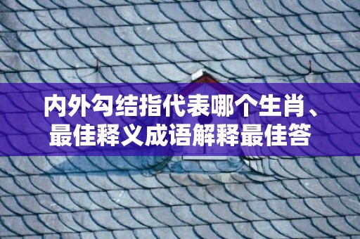 内外勾结指代表哪个生肖、最佳释义成语解释最佳答