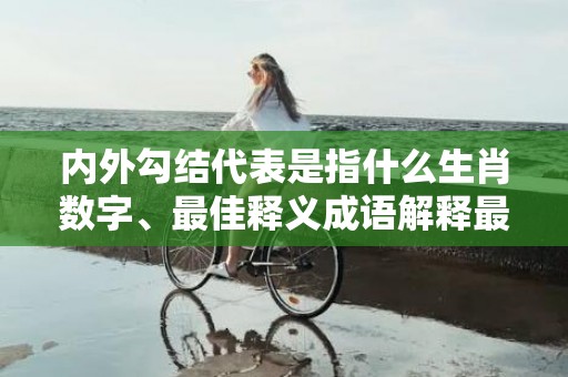 内外勾结代表是指什么生肖数字、最佳释义成语解释最佳答