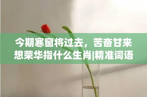 今期寒窗将过去，苦奋甘来想荣华指什么生肖|精准词语释义落实