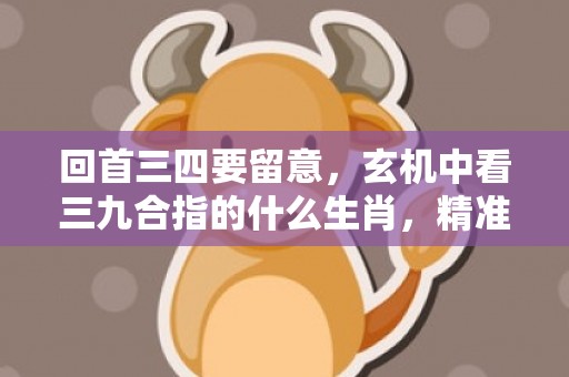 回首三四要留意，玄机中看三九合指的什么生肖，精准词语释义落实