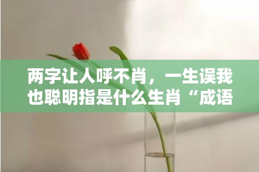 两字让人呼不肖，一生误我也聪明指是什么生肖“成语释义解释”