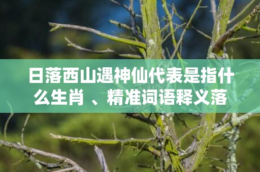 日落西山遇神仙代表是指什么生肖 、精准词语释义落实