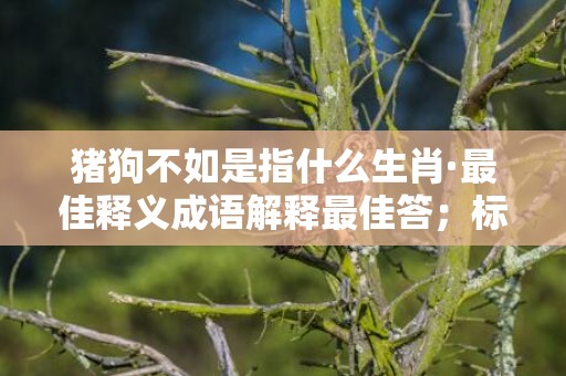 猪狗不如是指什么生肖·最佳释义成语解释最佳答；标准成语落实释义