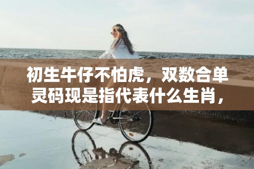 初生牛仔不怕虎，双数合单灵码现是指代表什么生肖，精准词语释义落实