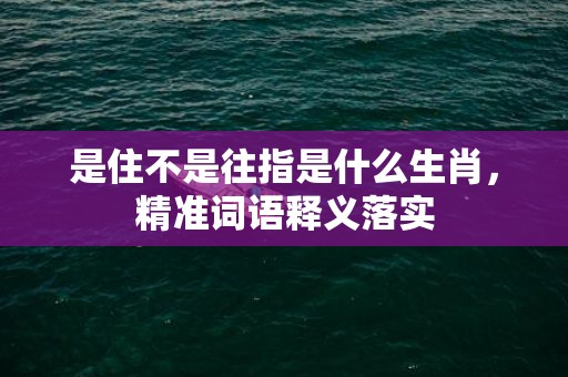 是住不是往指是什么生肖，精准词语释义落实