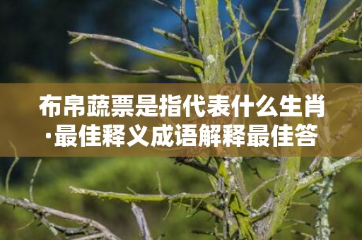 布帛蔬票是指代表什么生肖·最佳释义成语解释最佳答