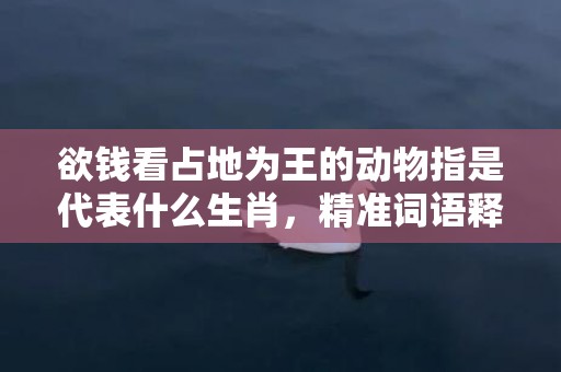 欲钱看占地为王的动物指是代表什么生肖，精准词语释义落实