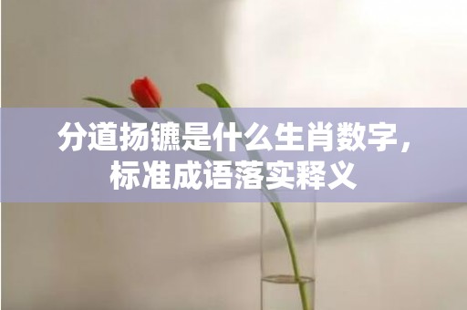 分道扬镳是什么生肖数字，标准成语落实释义