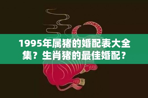 1995年属猪的婚配表大全集？生肖猪的最佳婚配？