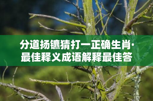 分道扬镳猜打一正确生肖·最佳释义成语解释最佳答