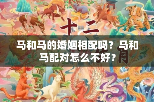 马和马的婚姻相配吗？马和马配对怎么不好？