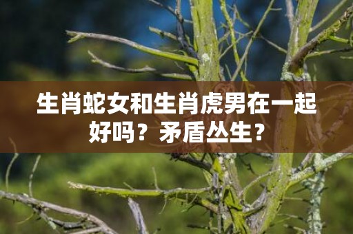 生肖蛇女和生肖虎男在一起好吗？矛盾丛生？