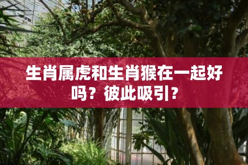 生肖属虎和生肖猴在一起好吗？彼此吸引？