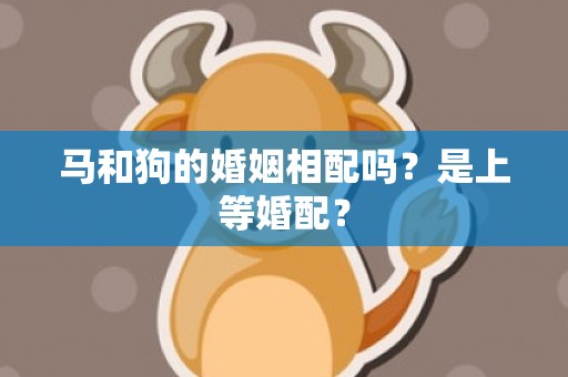 马和狗的婚姻相配吗？是上等婚配？