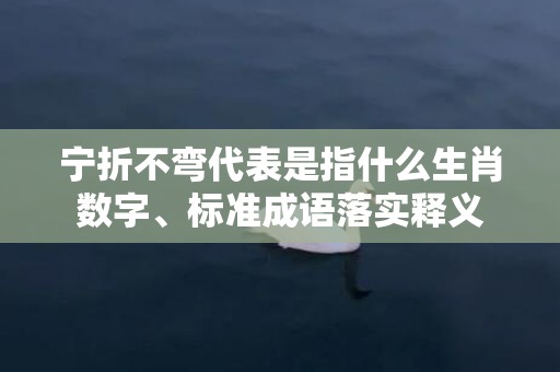 宁折不弯代表是指什么生肖数字、标准成语落实释义