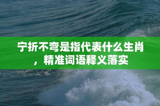 宁折不弯是指代表什么生肖，精准词语释义落实
