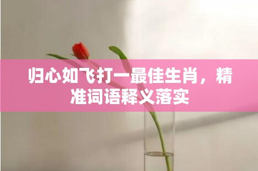 归心如飞打一最佳生肖，精准词语释义落实