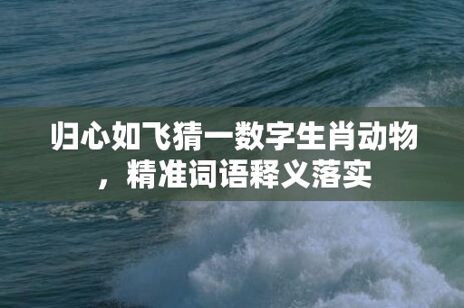 归心如飞猜一数字生肖动物，精准词语释义落实