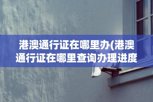 港澳通行证在哪里办(港澳通行证在哪里查询办理进度)