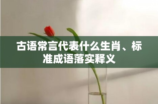 古语常言代表什么生肖、标准成语落实释义