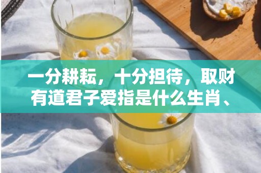 一分耕耘，十分担待，取财有道君子爱指是什么生肖、标准成语落实释义