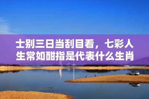 士别三日当刮目看，七彩人生常如酣指是代表什么生肖`最佳释义成语解释最佳答