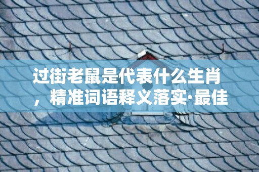 过街老鼠是代表什么生肖 ，精准词语释义落实·最佳释义成语解释最佳答