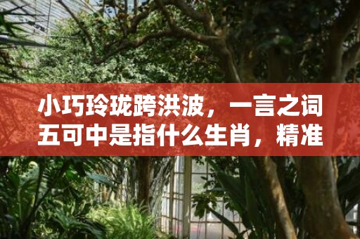 小巧玲珑跨洪波，一言之词五可中是指什么生肖，精准词语释义落实