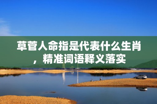草菅人命指是代表什么生肖，精准词语释义落实