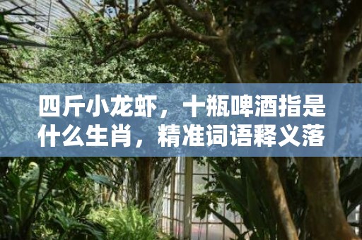 四斤小龙虾，十瓶啤酒指是什么生肖，精准词语释义落实