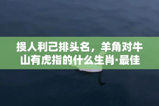 损人利己排头名，羊角对牛山有虎指的什么生肖·最佳释义成语解释最佳答