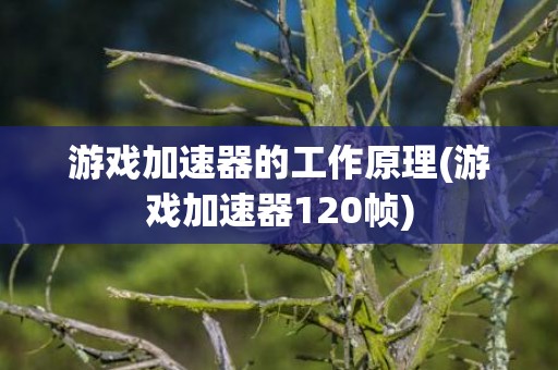 游戏加速器的工作原理(游戏加速器120帧)