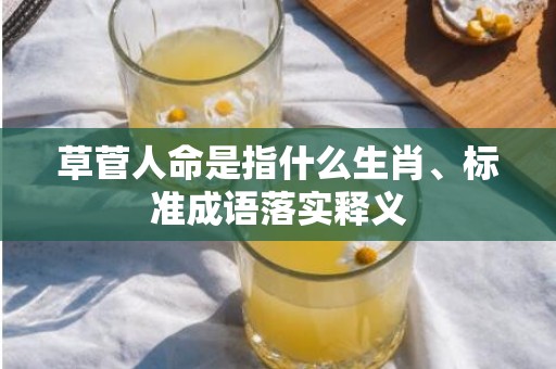 草菅人命是指什么生肖、标准成语落实释义