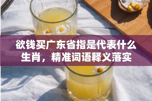 欲钱买广东省指是代表什么生肖，精准词语释义落实