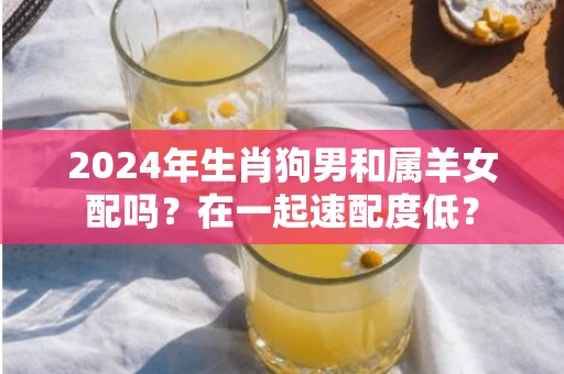 2024年生肖狗男和属羊女配吗？在一起速配度低？
