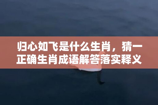 归心如飞是什么生肖，猜一正确生肖成语解答落实释义