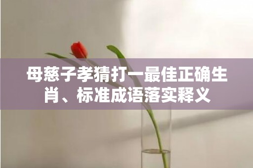 母慈子孝猜打一最佳正确生肖、标准成语落实释义