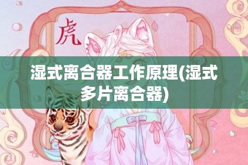 湿式离合器工作原理(湿式多片离合器)