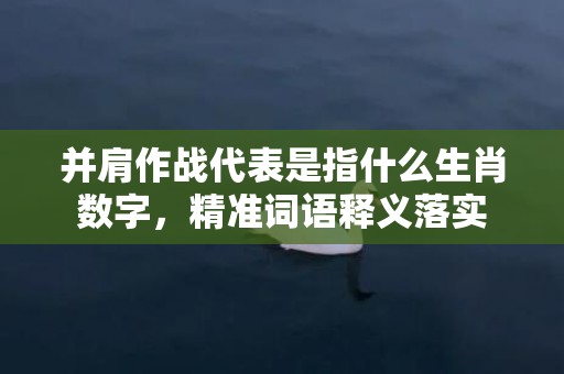 并肩作战代表是指什么生肖数字，精准词语释义落实