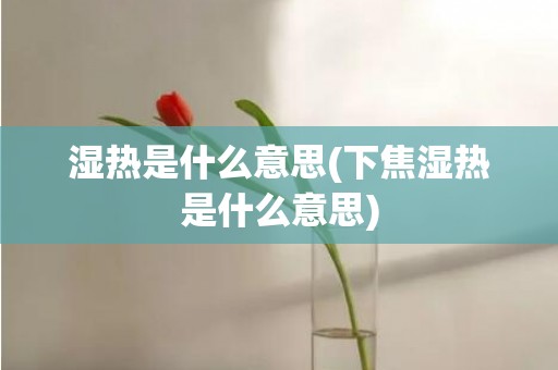 湿热是什么意思(下焦湿热是什么意思)