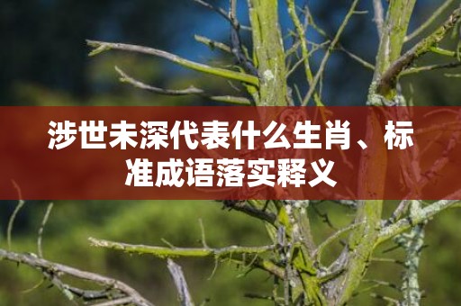 涉世未深代表什么生肖、标准成语落实释义