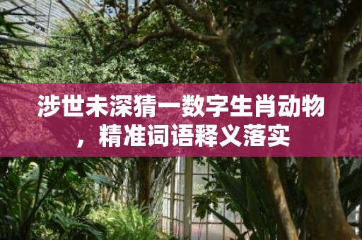 涉世未深猜一数字生肖动物，精准词语释义落实