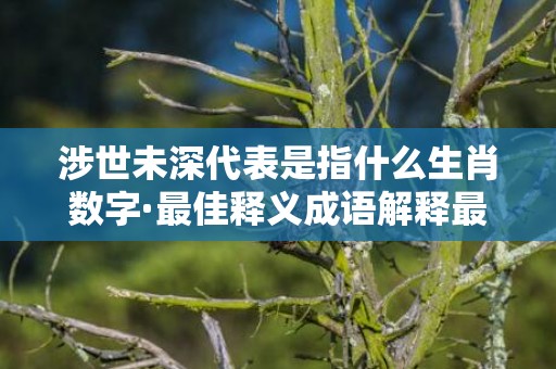 涉世未深代表是指什么生肖数字·最佳释义成语解释最佳答