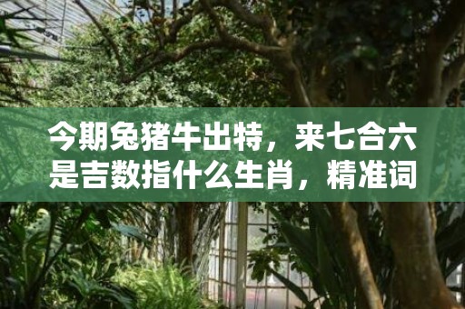 今期兔猪牛出特，来七合六是吉数指什么生肖，精准词语释义落实