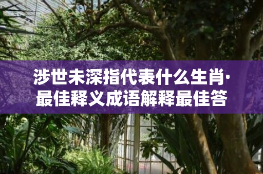 涉世未深指代表什么生肖·最佳释义成语解释最佳答