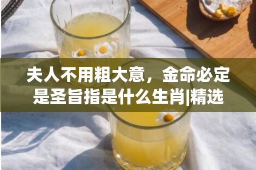 夫人不用粗大意，金命必定是圣旨指是什么生肖|精选成语释义解释