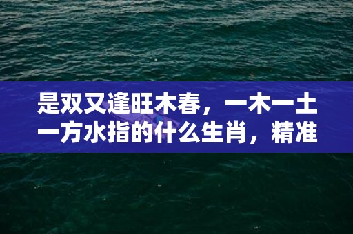 是双又逢旺木春，一木一土一方水指的什么生肖，精准词语释义落实