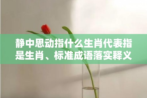 静中思动指什么生肖代表指是生肖、标准成语落实释义