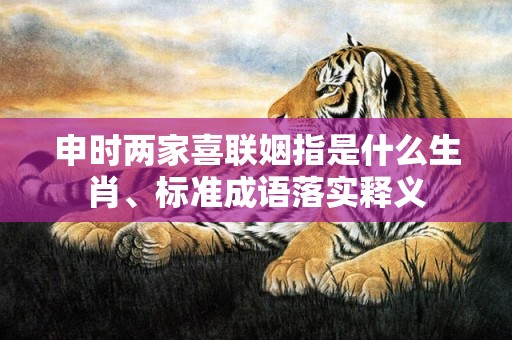 申时两家喜联姻指是什么生肖、标准成语落实释义